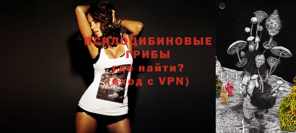 сатива Киренск