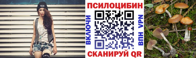 Галлюциногенные грибы Psilocybine cubensis  Купить закладки  Луза 